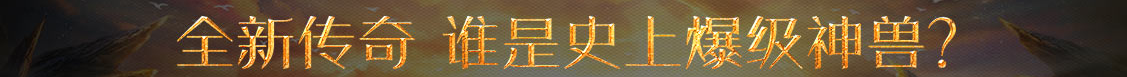 洞察觀察